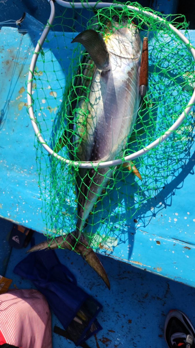 Aventura de pesca en altamar
