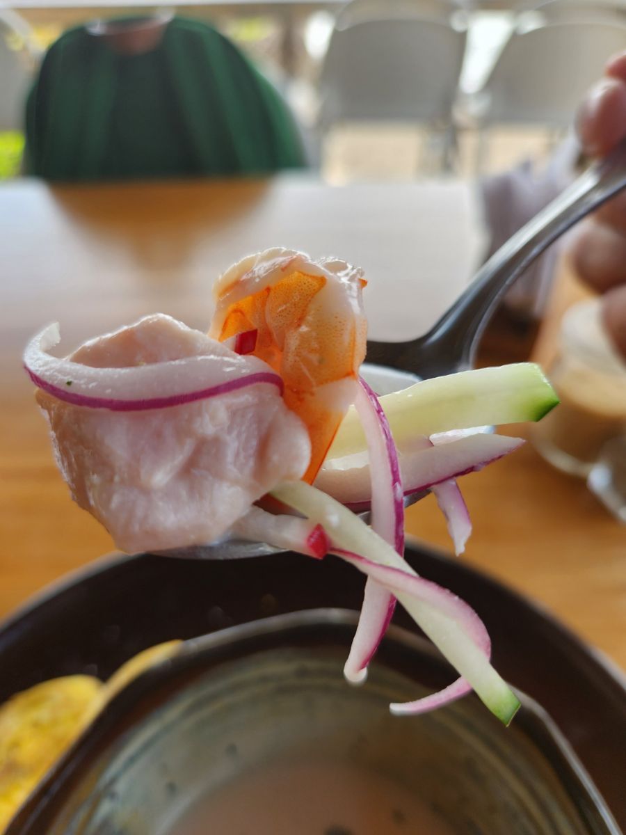 Sabores de El Salvador