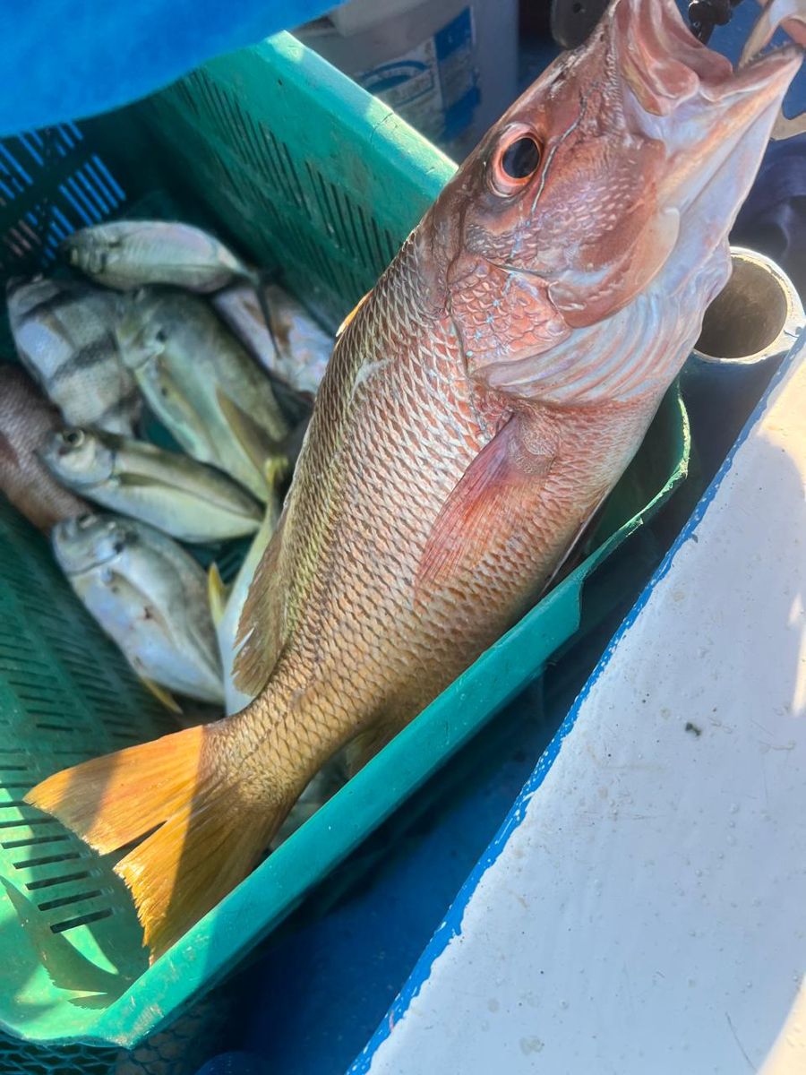 Aventura de pesca en la Bahía de Jiquilisco
