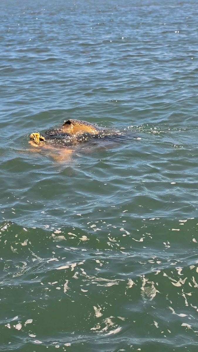 Aventura de pesca en la Bahía de Jiquilisco