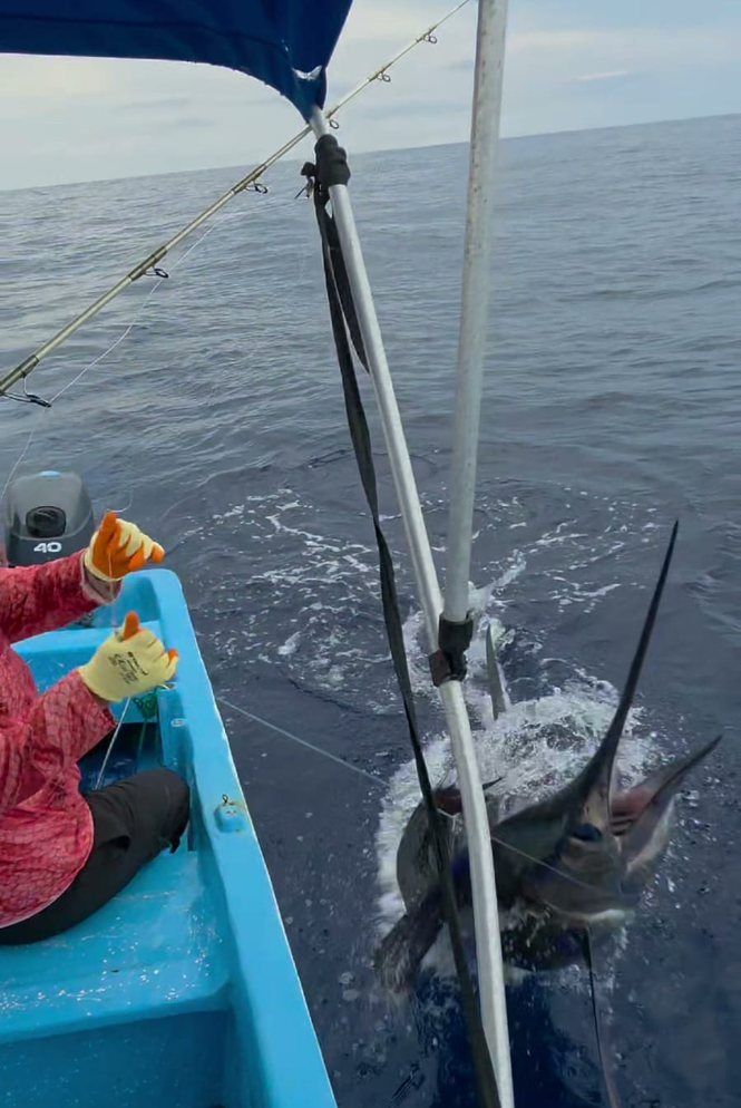 Aventura de pesca en altamar